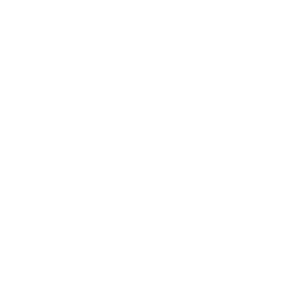 TeslaNet: cellular LTE, 450 MHz LPN and AMR drive-by backup